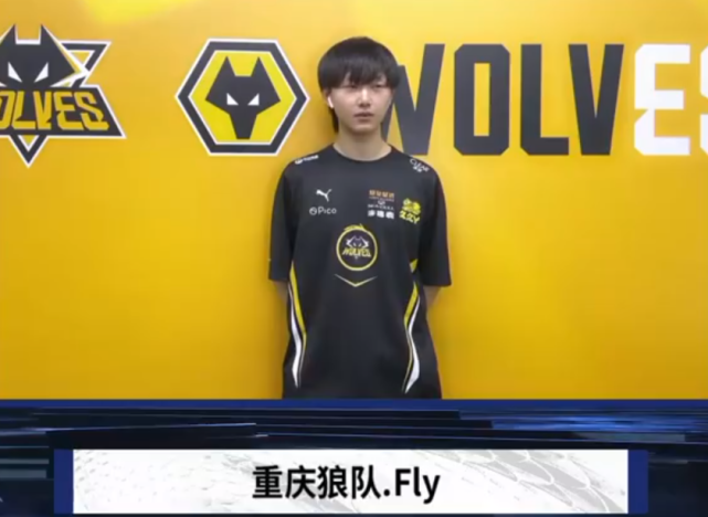 维选择